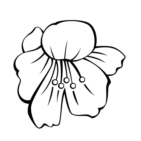 beyaz zemin üzerinde vektör çiçek