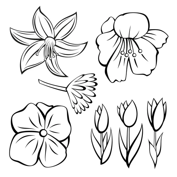 vektör çiçek kümesi