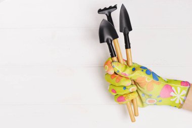 Elle tutulan bahçe eldivenleri, beyaz ahşap arka planda izole edilmiş bahçe aletleri. Metin için boşluk.