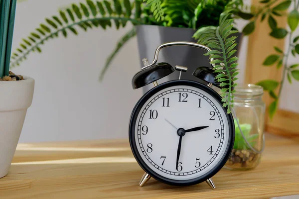 Black Alarm Clock Stands Wooden Table Surrounded Vases Florarium Flower — Stock Photo, Image