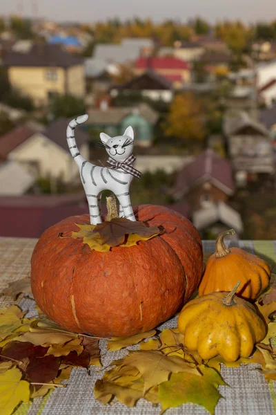 still life with orange pumpkin, maple, yellow, leaves and a statuette of a white clay cat