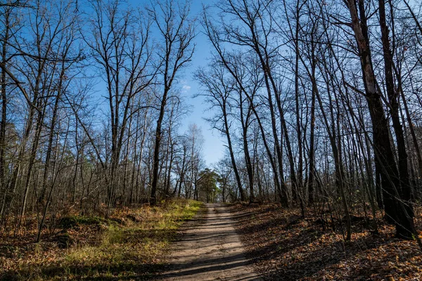 Wandern Wald — Stockfoto