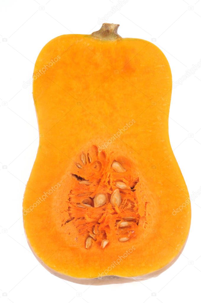 Raw butternut cut in half in close-up on white background 