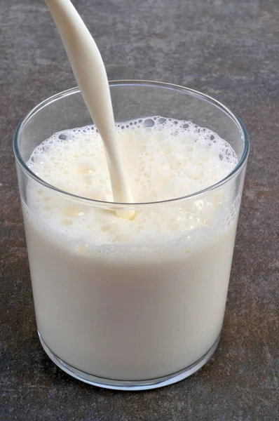 加满一杯鲜牛奶 — 图库照片