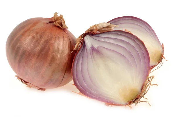 Whole Onion Cut Half Close White Background — Stockfoto