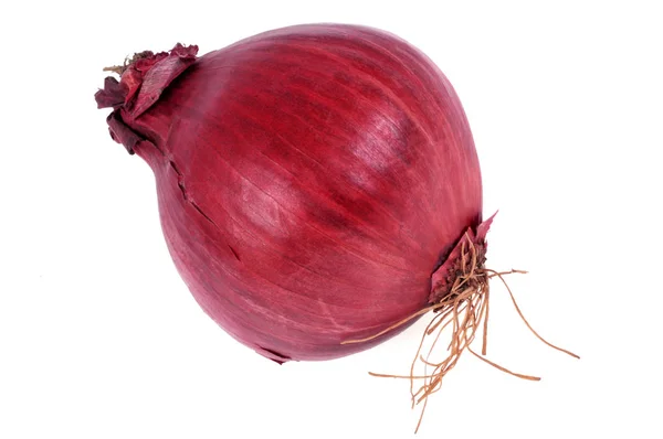 Raw Whole Red Onion Close White Background — Stockfoto
