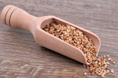 Tahta kaşıkta susam tohumları. Yaklaş.