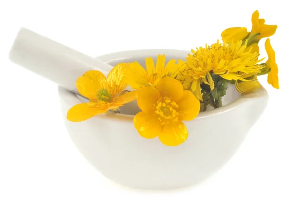 Yellow Flowers Mortar Pestle Close White Background — Stock Photo, Image