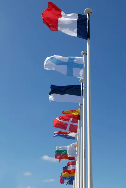Flags Various Countries Wind — 图库照片