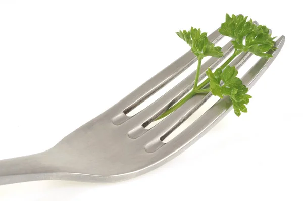 Sprig Parsley Fork Close White Background — 스톡 사진