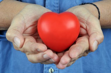 Elinde plastik bir kalple organ bağışı kavramı.