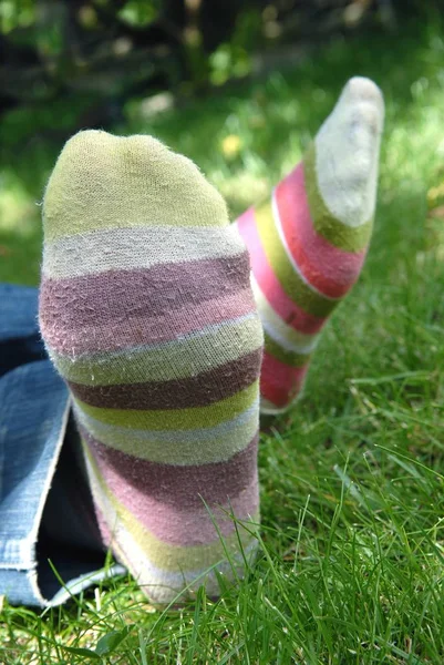 Feet with socks of different colors close up in the grass