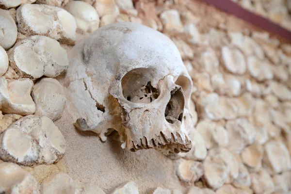 Ossuary Carmelite Church Faro — Stock Photo, Image