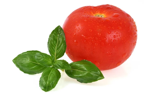 Tomate Orgánico Fresco Con Hojas Albahaca Cerca Sobre Fondo Blanco —  Fotos de Stock