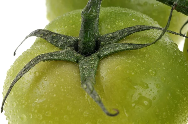 Primer Plano Tomate Verde Orgánico Fresco —  Fotos de Stock