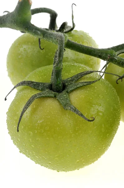 Ramo Tomates Verdes Cierran Sobre Fondo Blanco — Foto de Stock