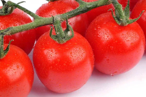 토마토의 무리흰색 배경에 닫습니다 — 스톡 사진