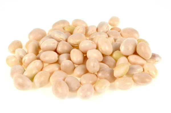 Paimpol Coco Beans Beans Close White Background — Stock Photo, Image