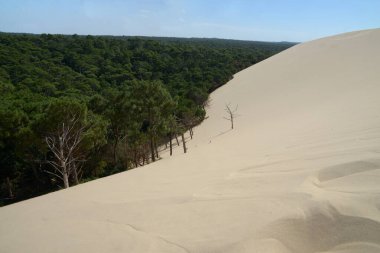 Arcachon havzasındaki Pilat kumulu