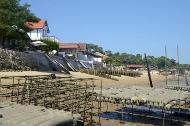 Arcachon Körfezi 'ndeki Kaptan Ferret' teki istiridye parkı.
