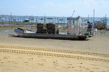 Oyster park in Cap Ferret in the Arcachon Bay  clipart