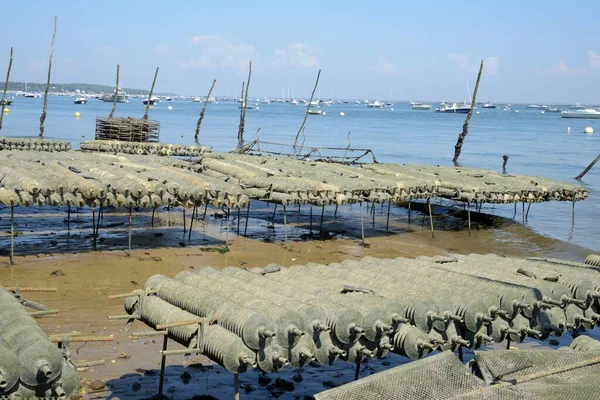 Parque Ostras Cap Ferret Baía Arcachon — Fotografia de Stock