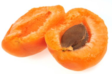 Kayısı beyaz arka planda çekirdeği yakın plan ile ikiye bölünmüş.