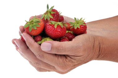 Bir avuç dolusu çilek beyaz arka plana kapanıyor. 