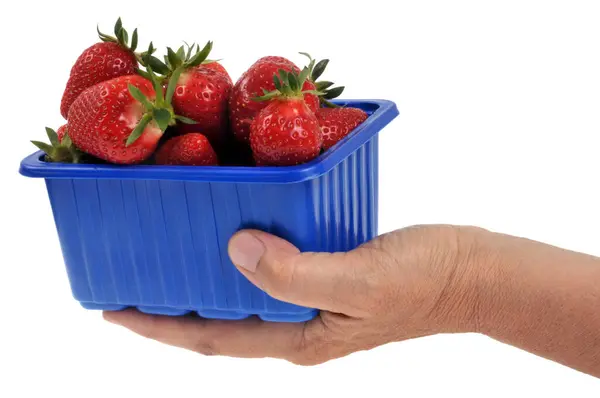 Tablett Mit Erdbeeren Der Hand Nahaufnahme Auf Weißem Hintergrund — Stockfoto