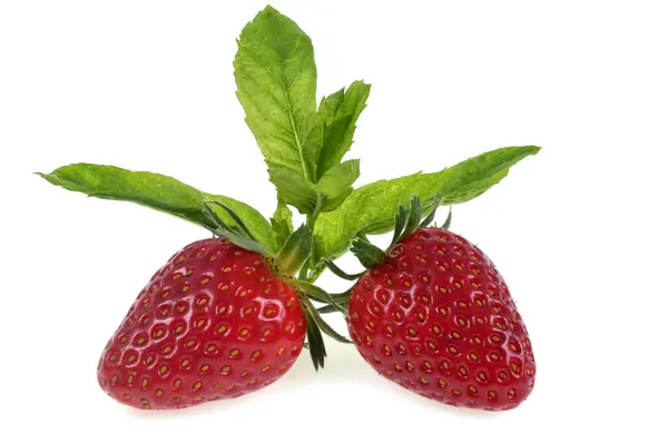 Aardbeien Met Munt Bladeren Close Witte Achtergrond — Stockfoto