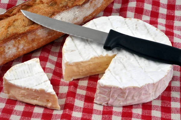 Camembert started with a knife and bread close-up on a checkered tablecloth