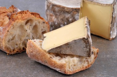 Tomme de Savoie bir parça ekmeği yakından çekiyor.
