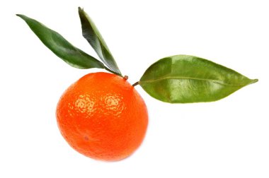 Beyaz arkaplanda yaprakları olan organik mandalina