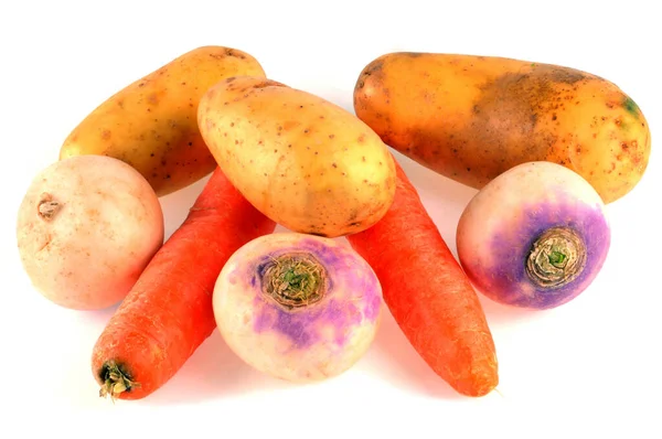 Berbagai Macam Sayuran Mentah Close Pada Latar Belakang Putih — Stok Foto