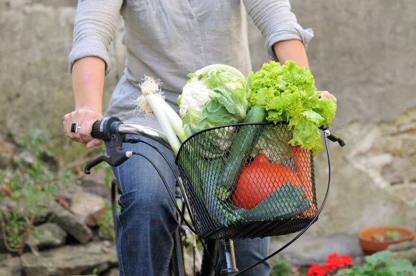 Cesta Verduras Una Bicicleta Cerca — Foto de Stock