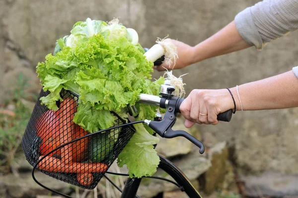 Basket Vegetables Bike Close — Stock Photo, Image