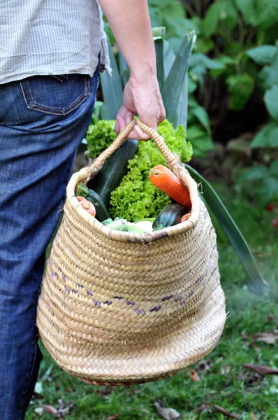 Mujer Llevando Una Canasta Verduras Cerca — Foto de Stock