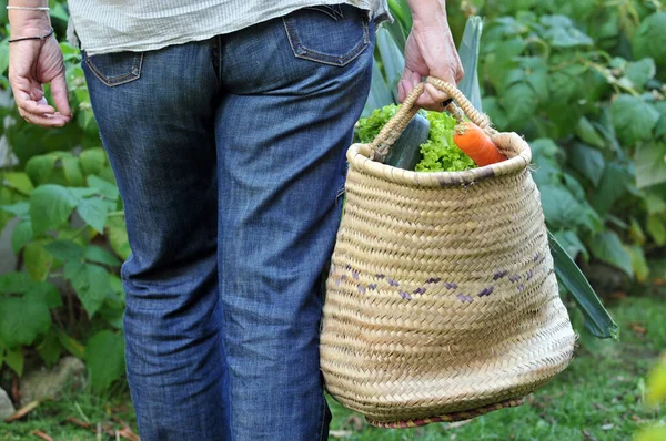 Mujer Llevando Una Canasta Verduras Cerca — Foto de Stock