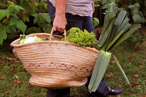 Mujer Llevando Una Canasta Verduras Cerca — Foto de Stock