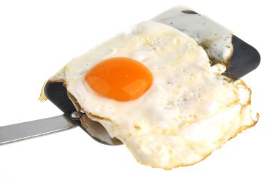 Mutfak spatulasında yumurta. Beyaz arka planda yakın plan.