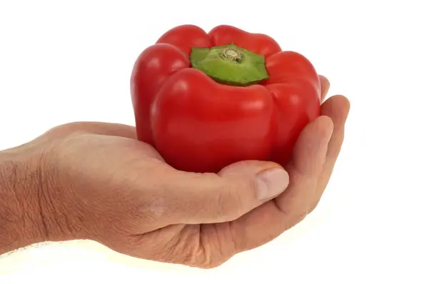 Roter Pfeffer Einer Hand Nahaufnahme Auf Weißem Hintergrund — Stockfoto