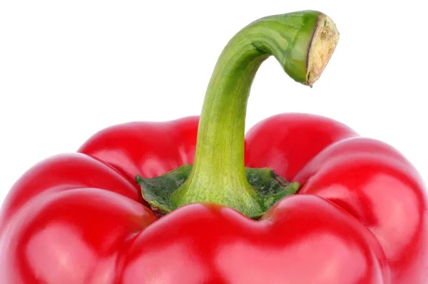 Rote Paprika Hautnah Auf Weißem Hintergrund — Stockfoto