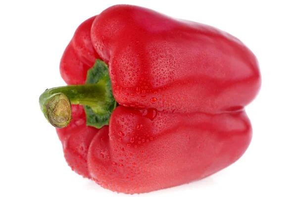 Red Peppers Close White Background — 스톡 사진