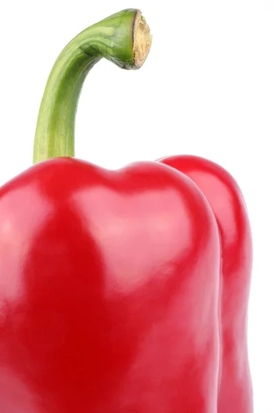 Red Peppers Close White Background — 스톡 사진