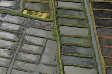 Britanya 'daki Saint-Armel tuz bataklığının havadan görünüşü