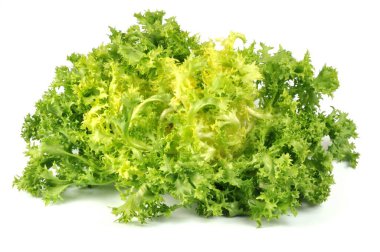 Beyaz arka planda taze kıvırcık salata. 