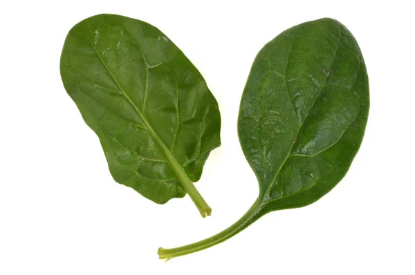 Spinach Leaves Close White Background — Stock Photo, Image