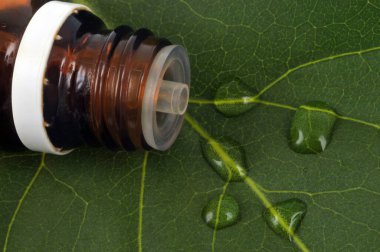 Bottle of essential oil on a green plant close up clipart