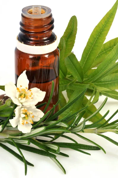 Ätherische Ölflasche Mit Pflanzen Nahaufnahme Auf Weißem Hintergrund — Stockfoto