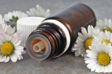 Bir şişe papatya yağı. Gri arkaplanı kapatır.